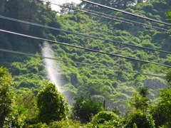 猛暑の想い出　蜜柑園とスプリンクラー