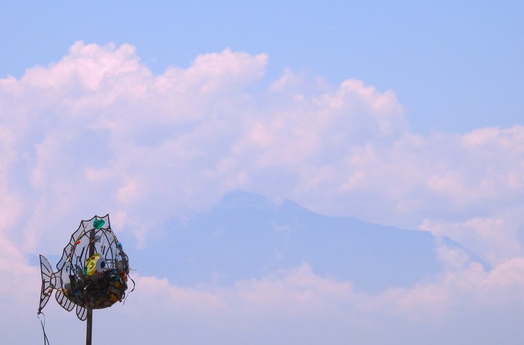 四国山地