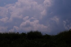続く猛暑