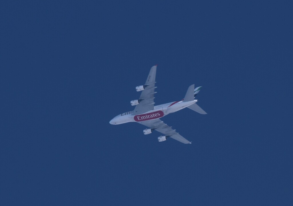 頭上