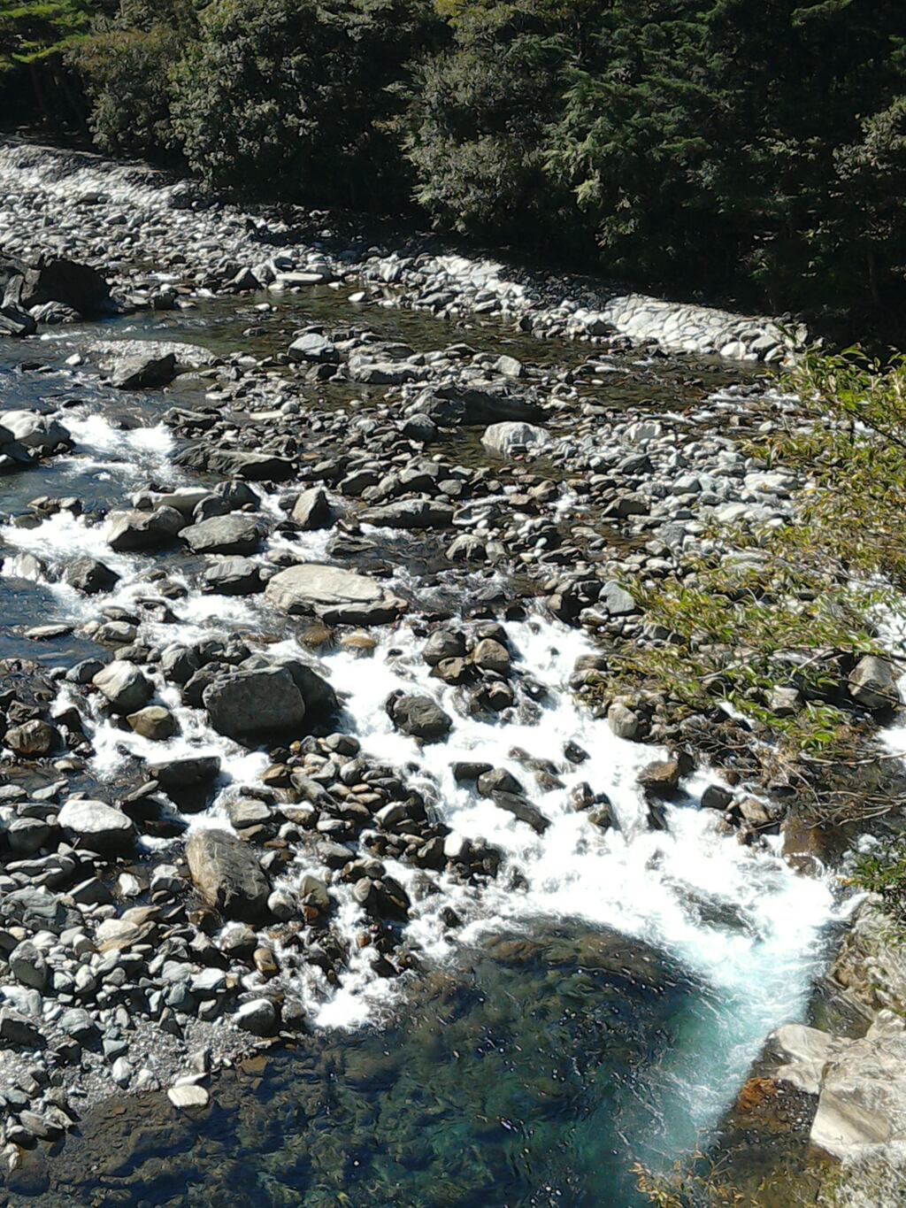 銅山川上流