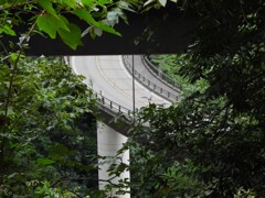 新道