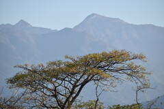 楠　そして　瓶ヶ森