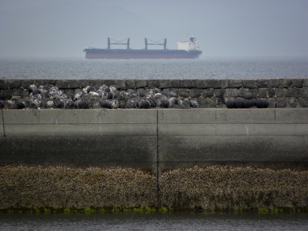 海テラス　堀江
