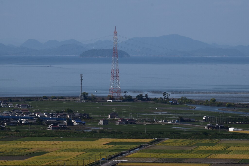 麦秋