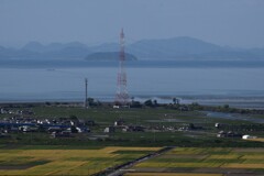 麦秋