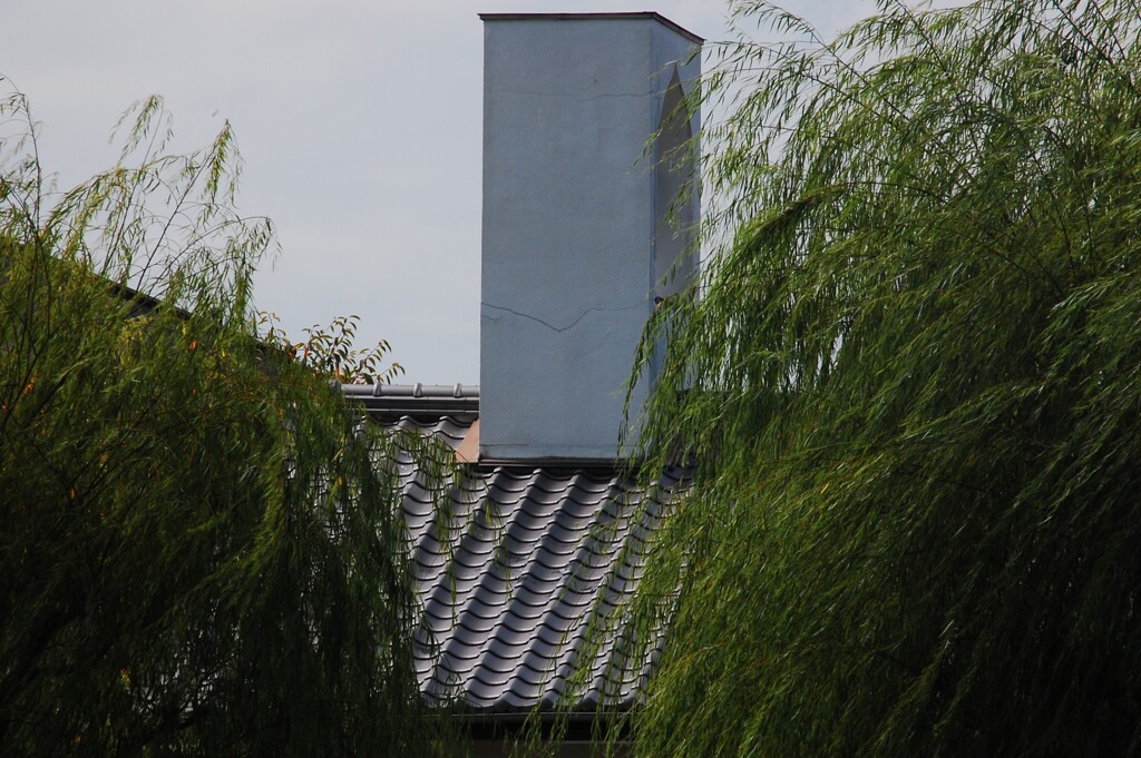 柳