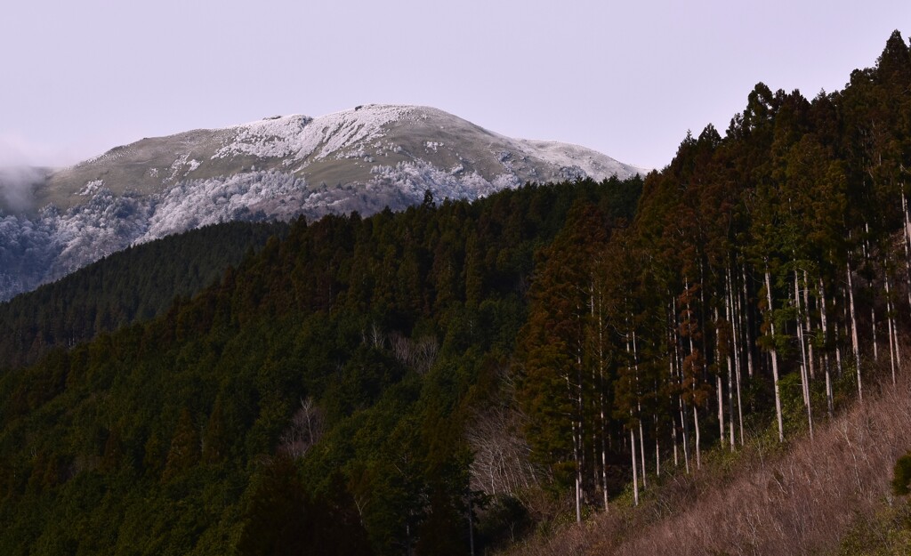 笹ヶ峰　方面