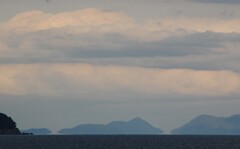 浮島現象　始まり