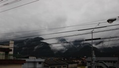 雨日