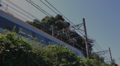 予讃線