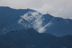 四国山地