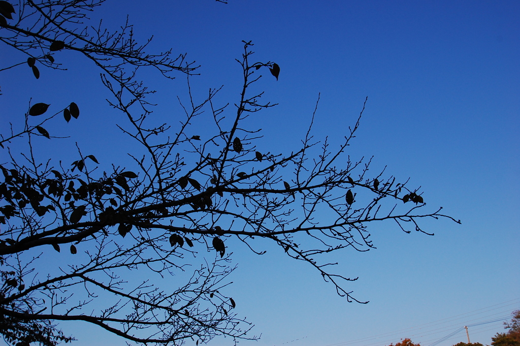 もうすぐ初寒波