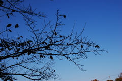 もうすぐ初寒波