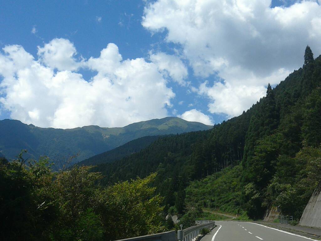 夏季　笹ヶ峰