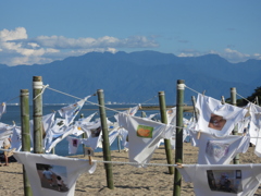 平家平方面