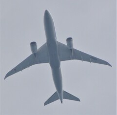 羽田発松山空港到着便