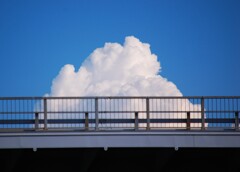 雲