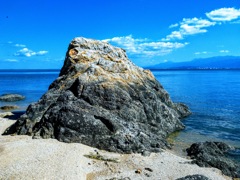 カブトガニ海岸