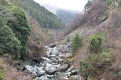 加茂川水系