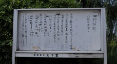 野球部