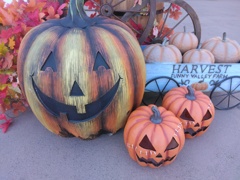 かぼちゃの季節