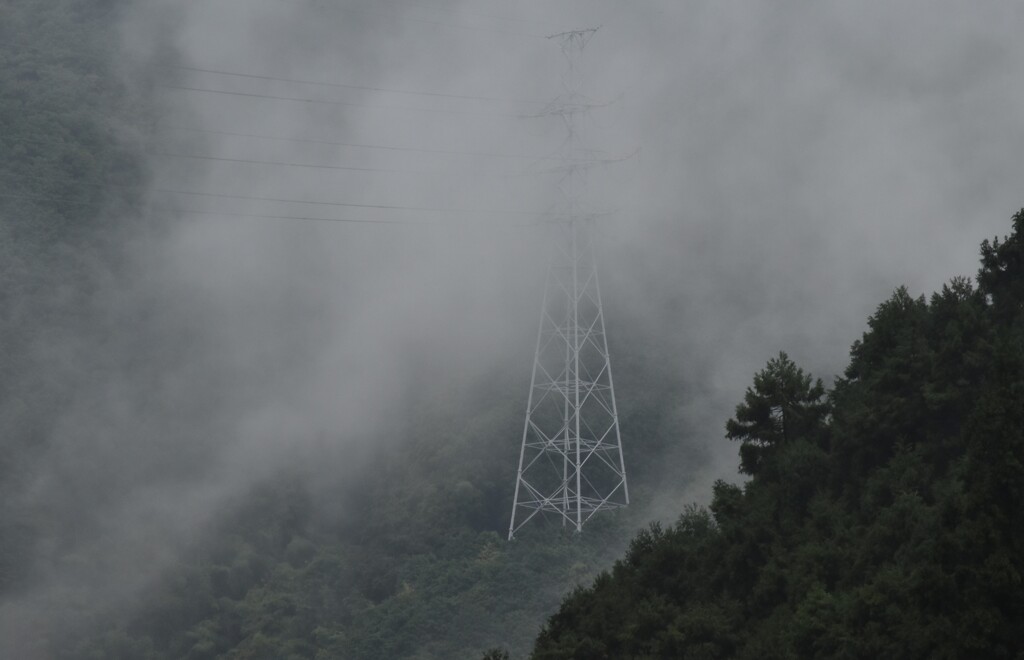 送電網