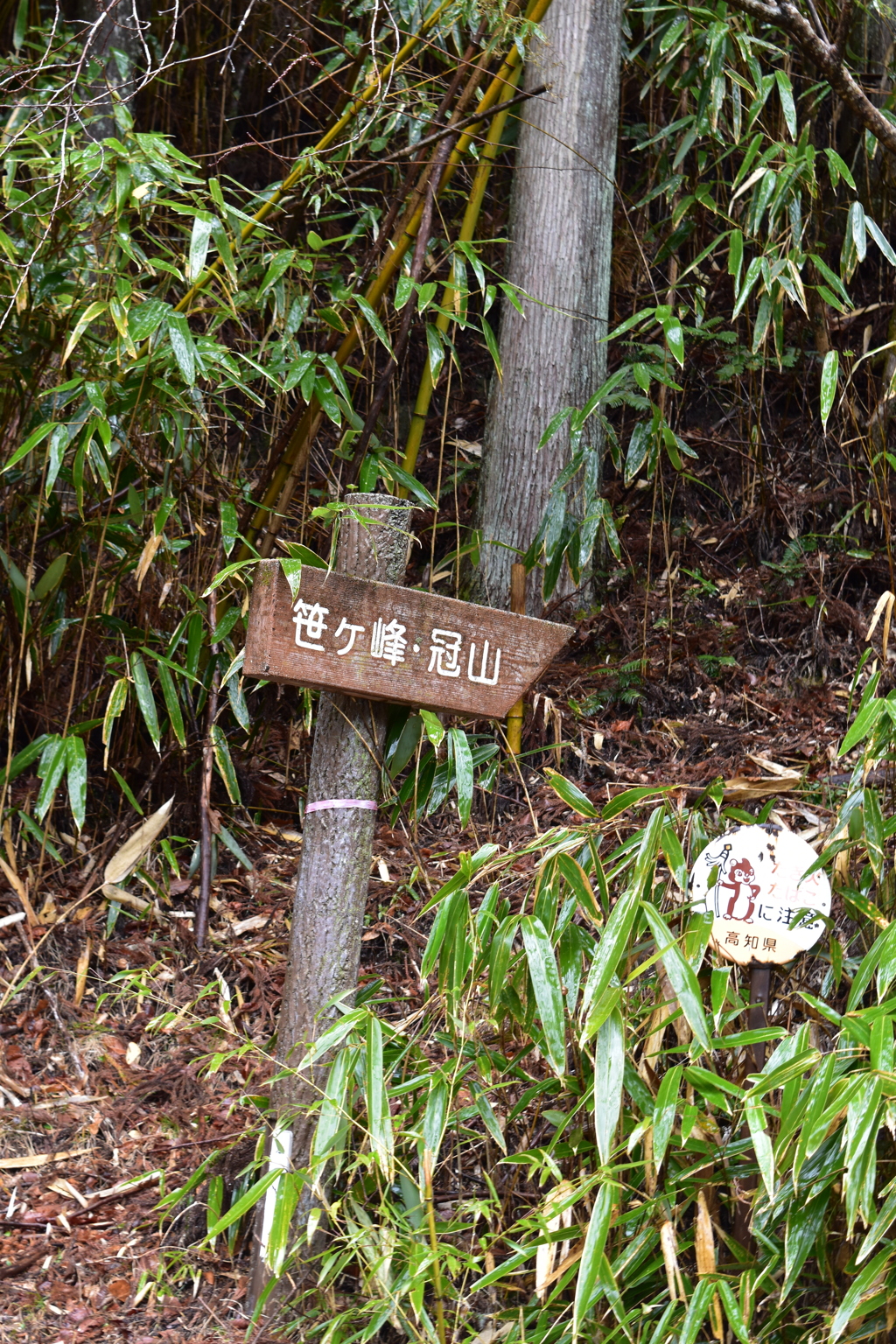 登山道