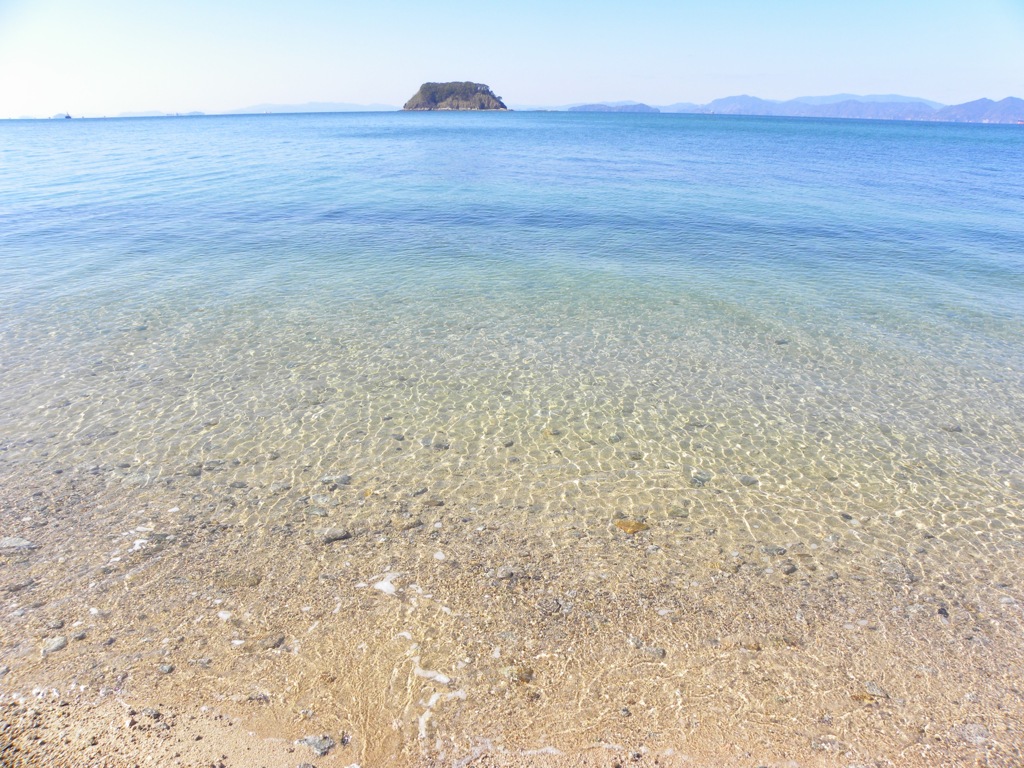 穏やかな冬の一時