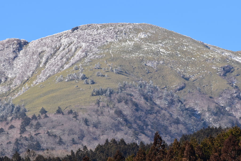 笹ヶ峰方面