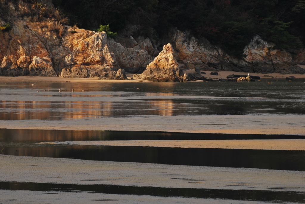 カブトガニ海岸