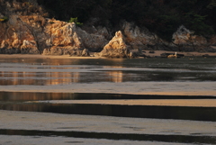 カブトガニ海岸