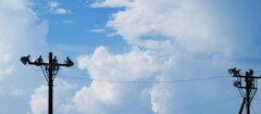 夏　雲