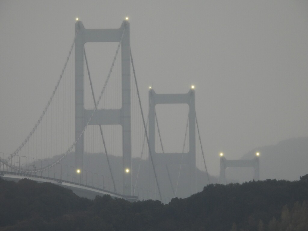 雨日
