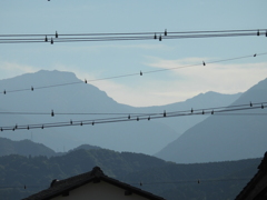 寒風山　桑瀬峠