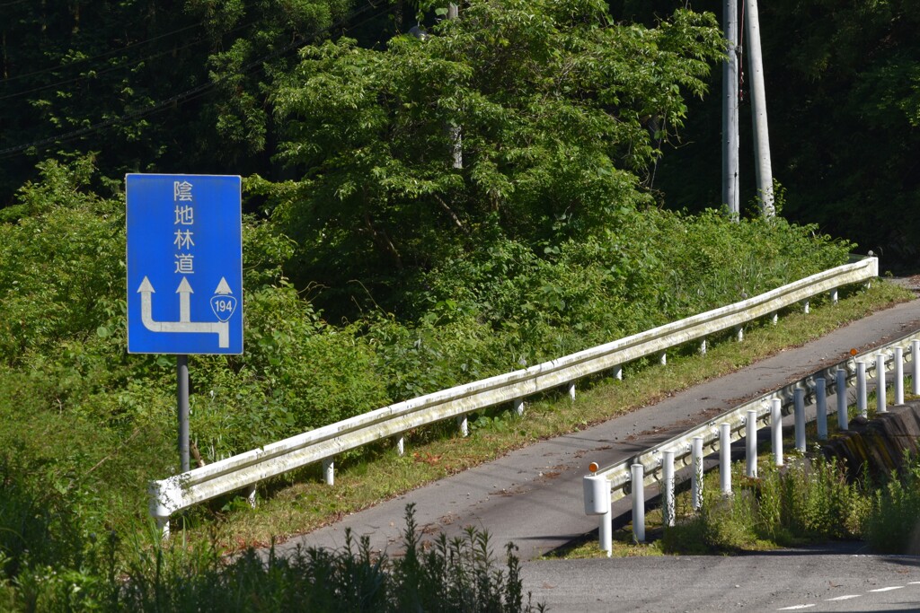 分岐