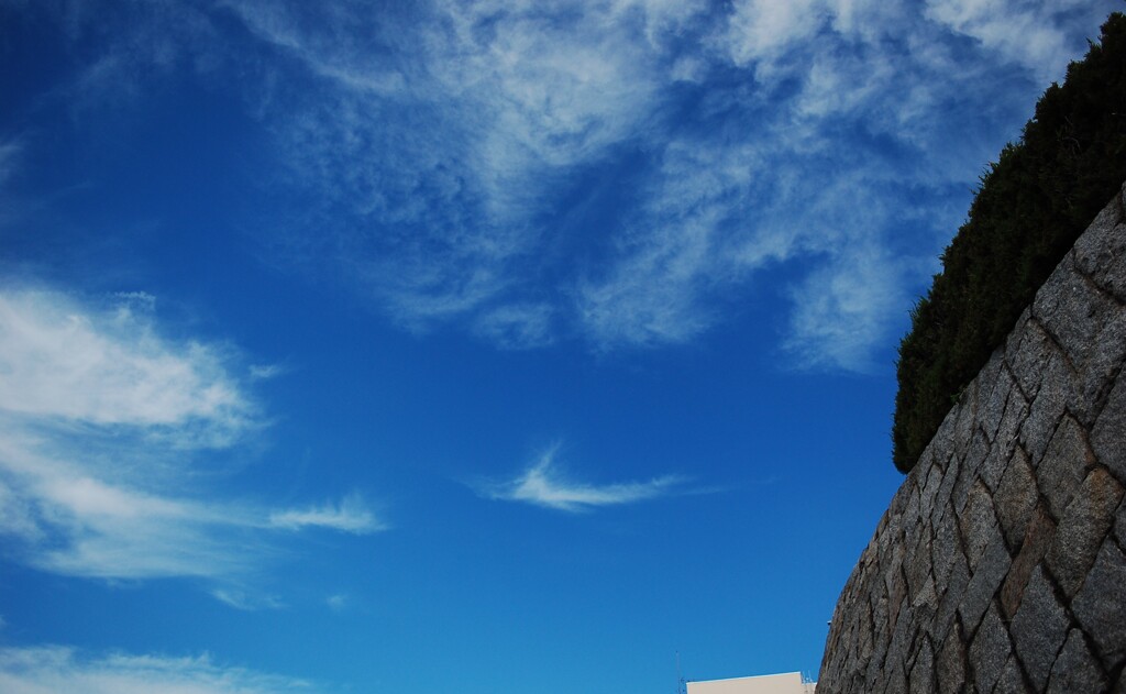 秋空