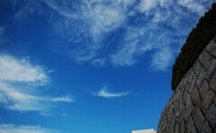 秋空