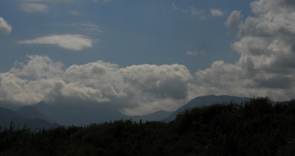 夏の桑瀬峠