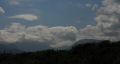 夏の桑瀬峠
