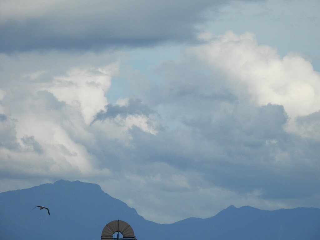 梅雨の頃　寒風山から桑瀬峠遠望