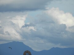 梅雨の頃　寒風山から桑瀬峠遠望