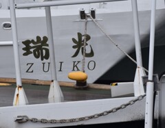 瑞光