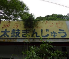 桜三里