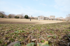 公園の日常