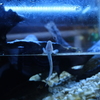 DSCF0433