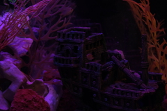 DSCF0484