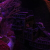 DSCF0484