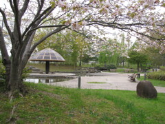 2018年5月 春の七北田公園