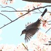 場さぁ～軌道調整
